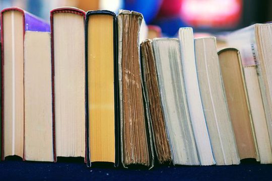 Books lined up, facing spine up