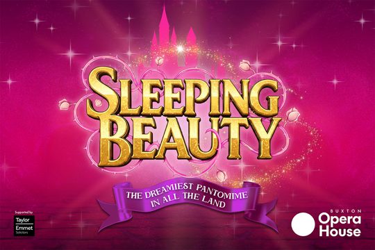 The title in gold writing. There are thorns and roses wrapped around it, a pink castle in the background, and pink cobblestones on the floor.