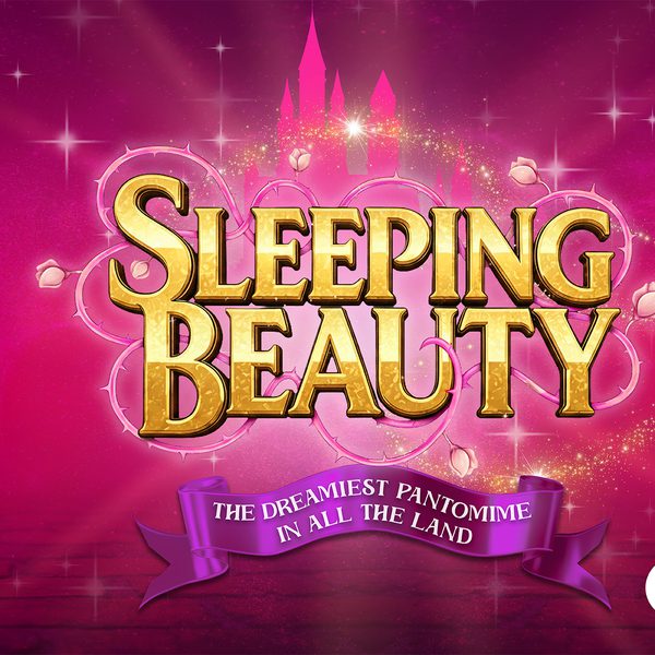 The title in gold writing. There are thorns and roses wrapped around it, a pink castle in the background, and pink cobblestones on the floor.