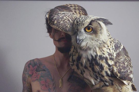 Tattooed man holds a large owl, its wing covering most of his face