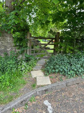 A few stone steps leading down to a wooden gate surrounded by leaves.