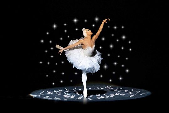 A male dancer in a white tutu, surrounded by feathers.