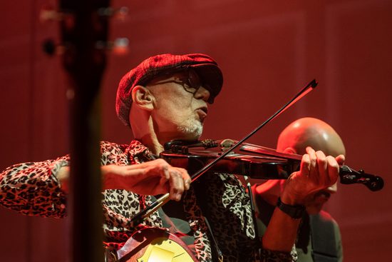 Man in cap and leopard print shirt plays the violin