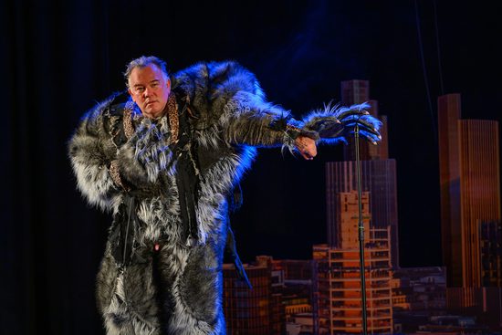 A man in a wolf costume without the wolf's head.