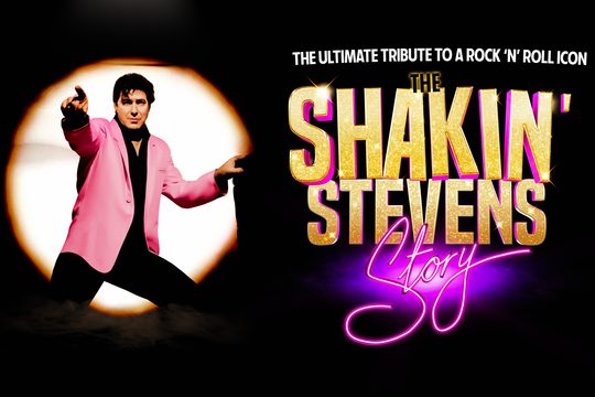 A man in a pink jacket standing in a circle of light. Gold and pink text: The Shakin' Stevens Story.