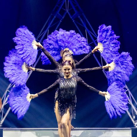 Four women in black glittery outfits. They are standing on steps and holding out purple feathery fans at different angles.