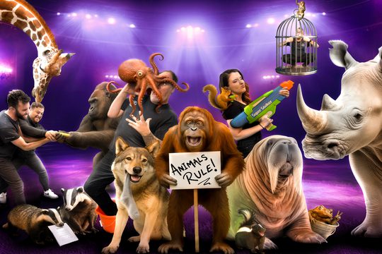 A collage of images of various animals and humans against a purple background, including a rhino, walrus, orangutan, octopus, and wolf.