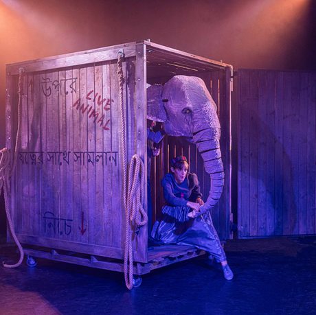 Large elephant puppet emerging from a large wooden crate
