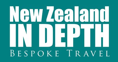 New Zealand in Depth logo